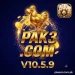 PAK3 Game Logo.webp
