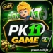 PK11-Game-logo.webp